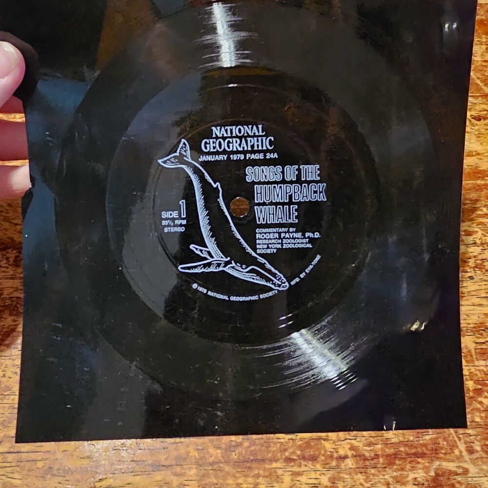 National Geographic Society Songs of the Humpback Whale 1979 Vinyl LP Stereo